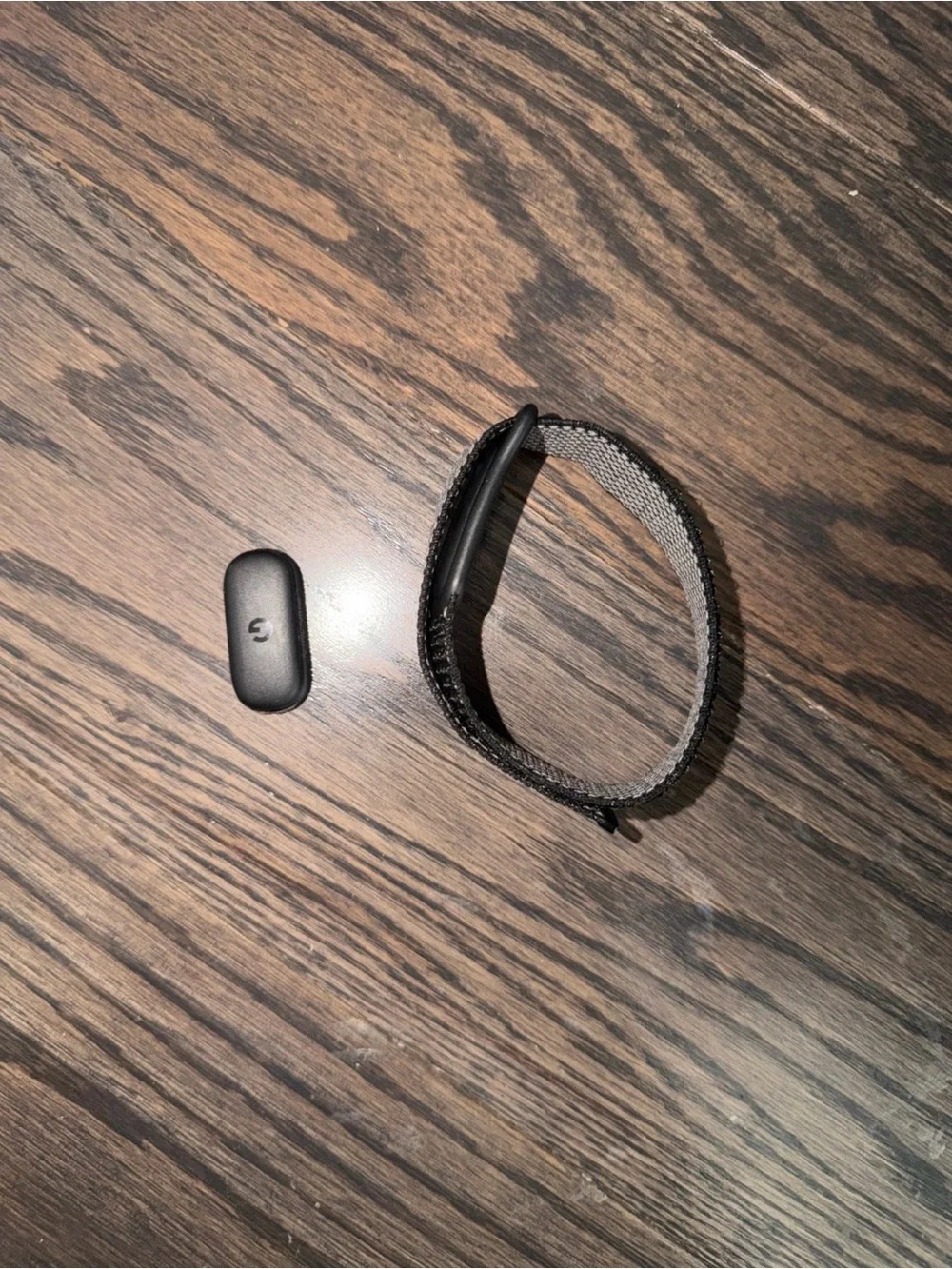 Google Fitbit Air